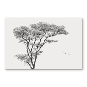 Glasbild Minimalistischer Baum in ruhiger Landschaft - Flour 