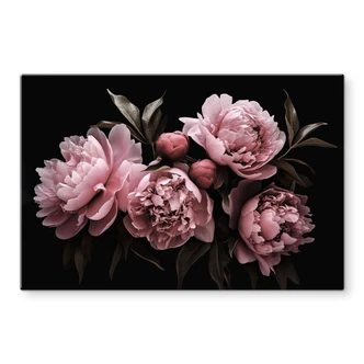 Glasbild Pfingstrose rosé - Haase 