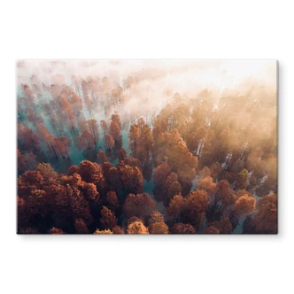 Tableau sur verre Forêt d'automne dans le brouillard - Ioricon 