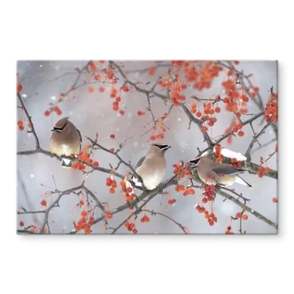 Tableau sur verre Li - Trois oiseaux dans un paysage d'hiver 