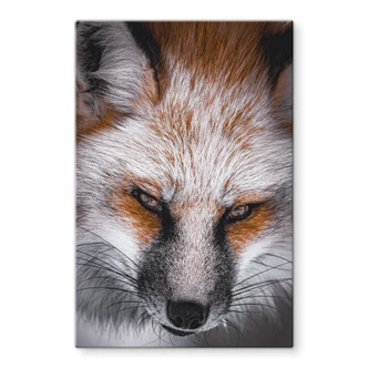 Tableau en verre Portrait d'animal Renard rouge - Nagi 