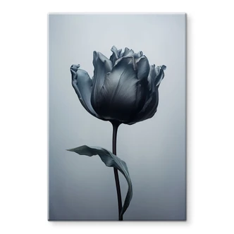 Tableau sur verre Tulipe veloutée en noir - Paksoylu 