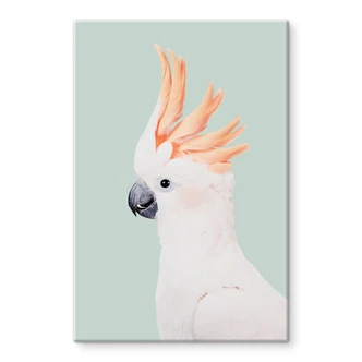 Tableau sur verre Portrait d'animal Cacatoès rose - Sisi & Seb 