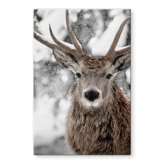 Tableau en verre Cerf dans une tempête de neige - Strigel 