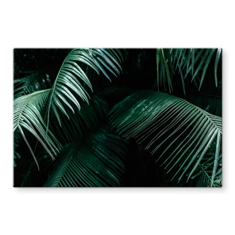 Glasbild Tropische Botanik 