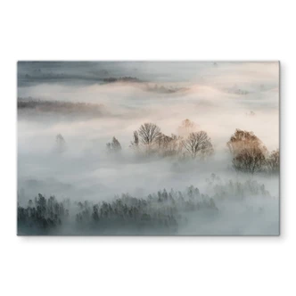 Glasbild Galimberti - Winternebel 