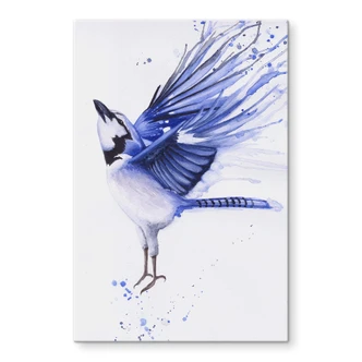 Glasbild Müller - Blaumeise 