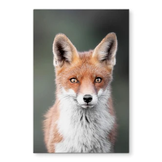 Glasschilderij van Duijn - Fox Eyes Glasschilderij van Duijn - Fox Eyes