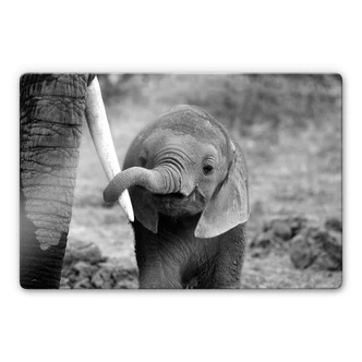 Glass Print Alicke - Close to Mom 