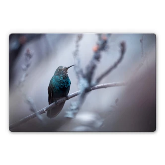 Glasschilderij Bravien - Electrical Blue Glasschilderij Bravien - Electrical Blue