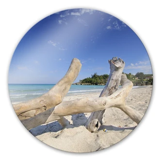 Glasbild Treibgut - rund 