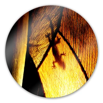 Glasbild Schattenspiel - rund 