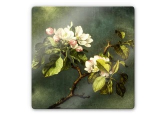 Glasbild Heade - Apfelblüten 