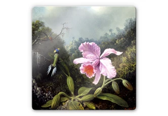 Glasbild Heade - Stillleben mit Orchidee und Kolibris 