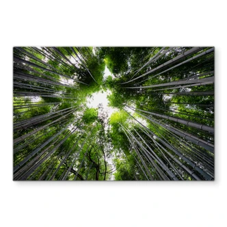 Glasbild Hugonnard - Wald in Japan 