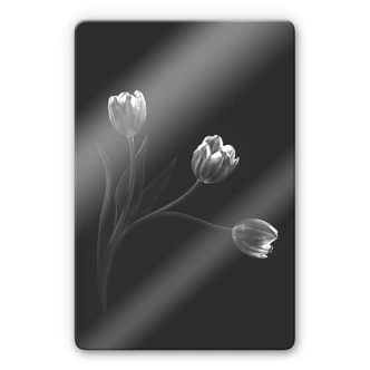 Glasbillede - Pan - Tulipantrio 