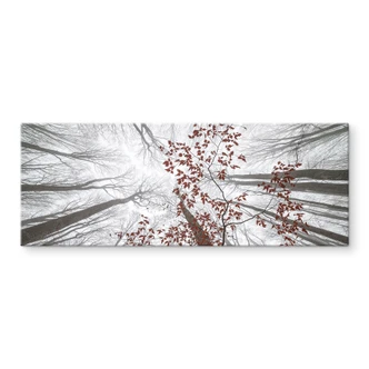 Tableau sur verre Cimes d'arbres aux feuilles rouges - Coman 