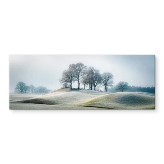 Tableau verre Paysage de collines glaciales - Homme de fer - Panorama 