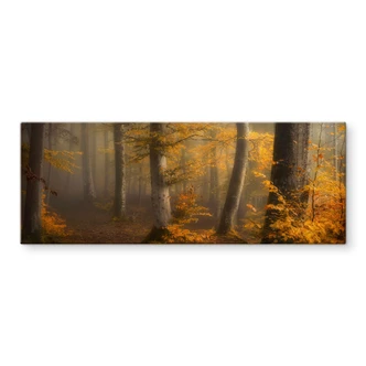 Tableau en verre Feuilles d'or dans la forêt brumeuse - Maier - Panorama 