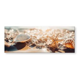Tableau en verre Maritim - coquillages sur une plage ensoleillée - Treechild - Panorama 