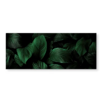 Tableau sur verre Feuilles de lys tropicales - Panorama 