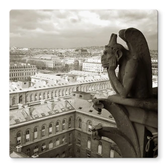 Tableau en verre - Gargouille 