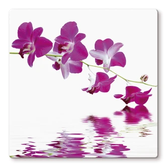 Glasschilderijen Bloementak 