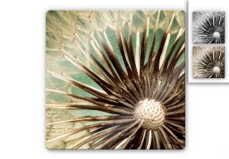Dandelion Poetry Glass art - square 