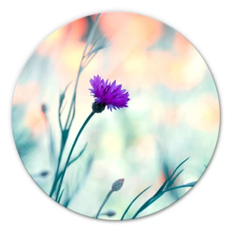 Glasbild Bravin - Luminous purple - rund Glasbild Bravin - Luminous purple - rund