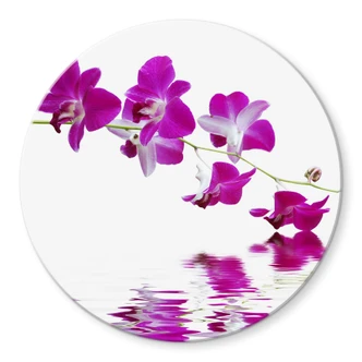 Glasbild Blütenzweig - rund Glasbild Blütenzweig - rund