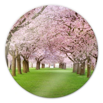 Glasbild Frühling - rund Glasbild Frühling - rund