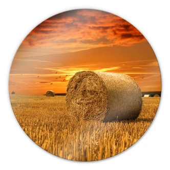 Glasbild Strohballen - rund 