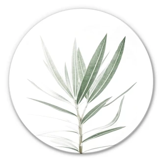 Glasbild Sisi & Seb - Oleander - Rund Glasbild Sisi & Seb - Oleander - Rund
