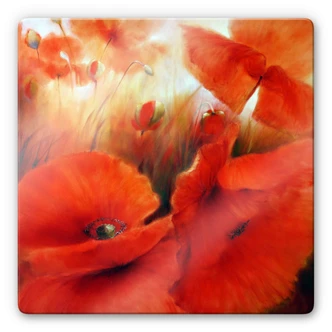 Glasbild Schmucker - Roter Mohn 