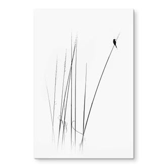 Glasbild Swapnil - Auszeit 
