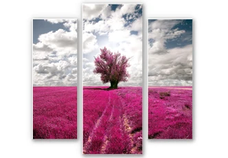 Tableau Forex - The Lonely Tree (tryptique) 