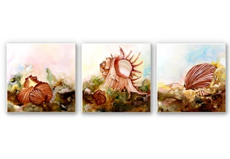 Wandbild Fedrau - Muscheln 02 (3-teilig) 