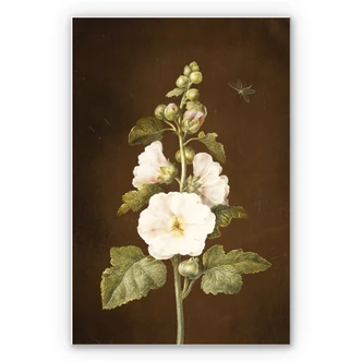 Wandbild Dietzsch - Stockrose 