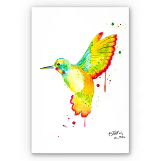 Tableau Forex - Buttafly - Colibri 