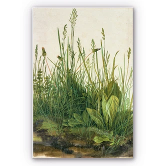 Wandbild Dürer - Das große Rasenstück 