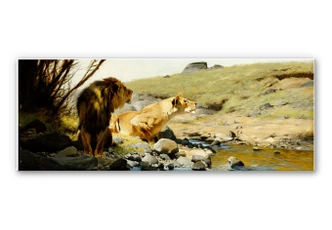 Wandbild Kuhnert - Ein Löwe und eine Löwin an einem Bach 