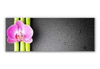 Wandbild Orchid and Bamboo - Panorama (horizontal) 