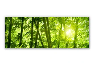 Wandbild Sonnenschein im Bambuswald - Panorama 