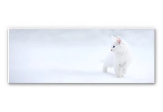 Wandbild Prexus - Weißer als Schnee 