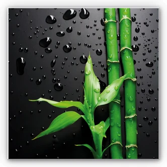 Wandbild Bamboo Over Black - quadratisch 