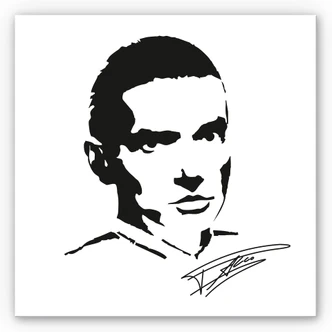 Wandbild Falco - quadratisch 