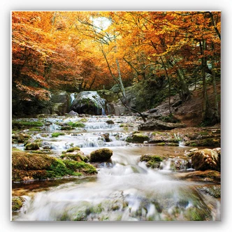 Wanddecoratie Herfst Waterval 
