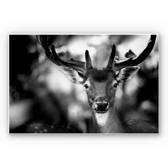 Wanddecoratie Sandra - Jong Hert 