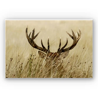 Wanddecoratie Waakzaam Hert 