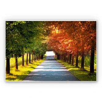 Wanddecoratie Herfst 